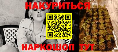 спиды Моздок