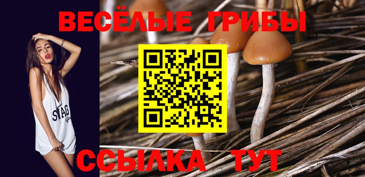 Псилоцибиновые грибы мицелий  Вход с VPN  Вышний Волочёк 