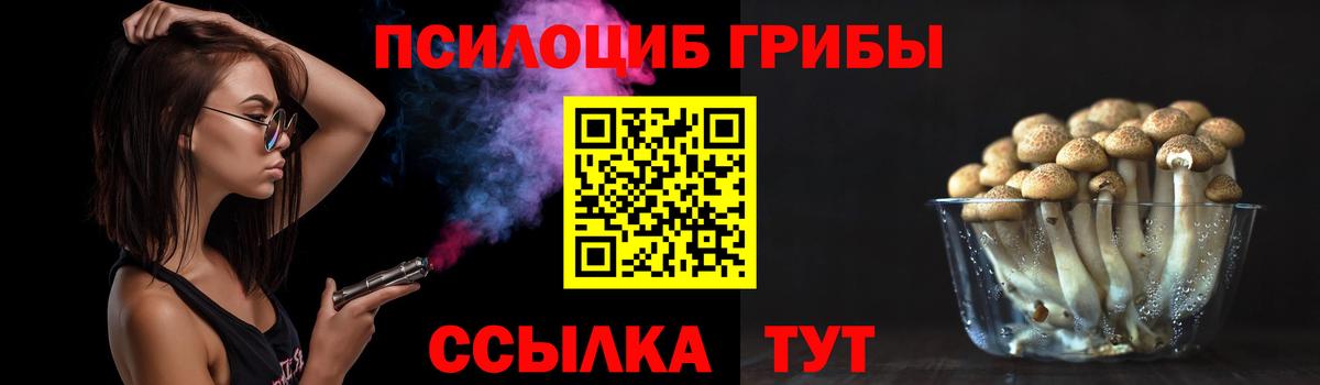 Галлюциногенные грибы GOLDEN TEACHER  Вышний Волочёк 